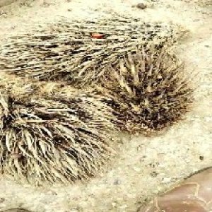 defect_valid (65).jpg