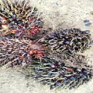 defect_valid (69).jpg