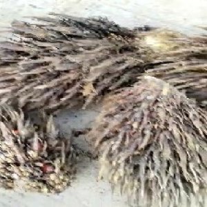 defect_valid (7).jpg