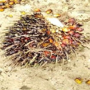 defect_valid (76).jpg