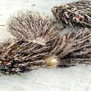 defect_valid (8).jpg