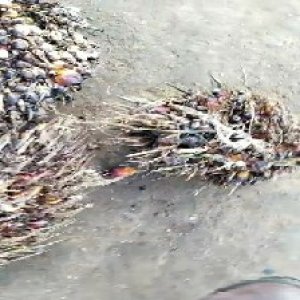 defect_valid (80).jpg