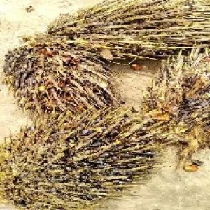 defect_valid (85).jpg