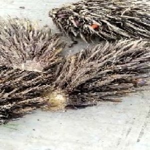 defect_valid (9).jpg