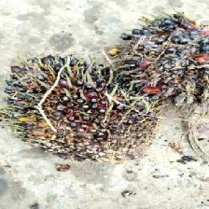 defect_valid (90).jpg