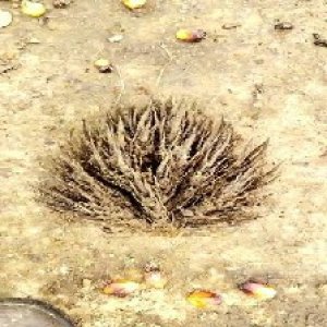 defect_valid (99).jpg