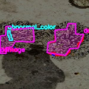 defect_test (1006)_defects.jpg