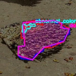 defect_test (1009)_defects.jpg