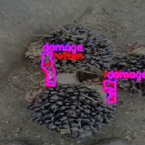 defect_test (1017)_defects.jpg