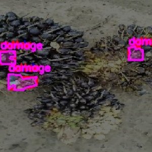 defect_test (1021)_defects.jpg