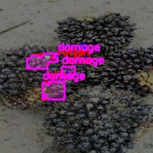 defect_test (1022)_defects.jpg