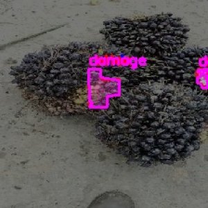 defect_test (1023)_defects.jpg