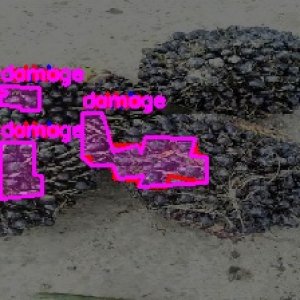 defect_test (1025)_defects.jpg