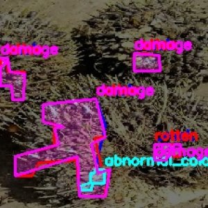 defect_test (1032)_defects.jpg