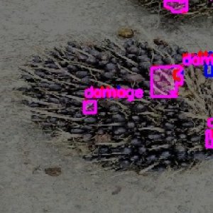 defect_test (1037)_defects.jpg