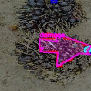 defect_test (1040)_defects.jpg