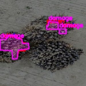 defect_test (1049)_defects.jpg