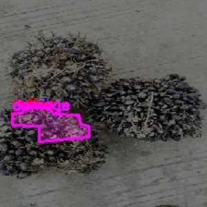 defect_test (1050)_defects.jpg