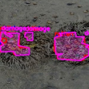 defect_valid (1042)_defects.jpg