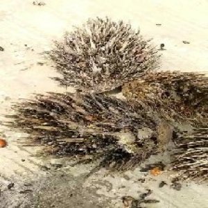 defect_test (10).jpg