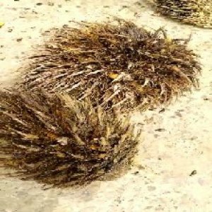 defect_test (103).jpg