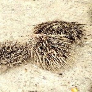 defect_test (108).jpg