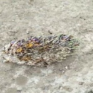 defect_test (113).jpg