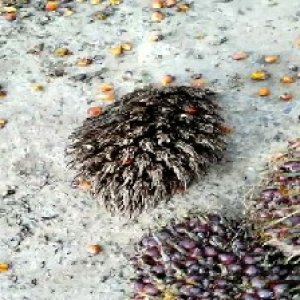 defect_test (116).jpg