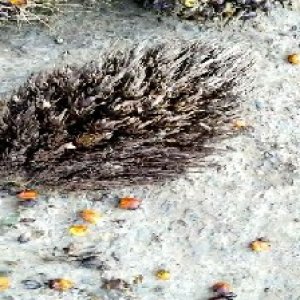 defect_test (117).jpg