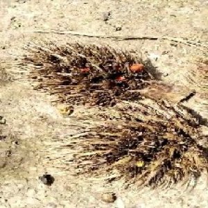 defect_test (119).jpg