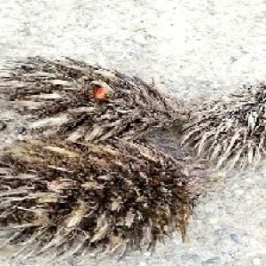 defect_test (123).jpg