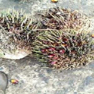 defect_test (124).jpg