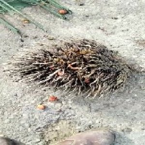 defect_test (129).jpg