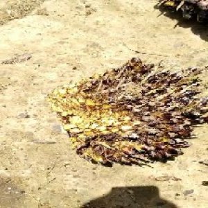 defect_test (13).jpg