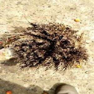 defect_test (132).jpg