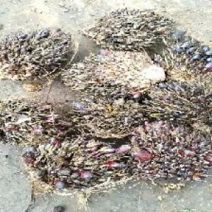 defect_test (137).jpg