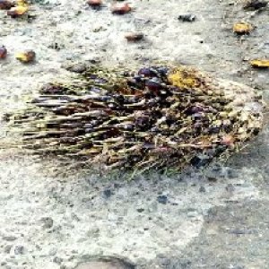 defect_test (139).jpg