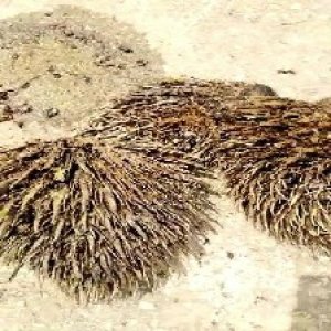 defect_test (14).jpg