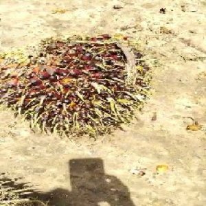 defect_test (19).jpg