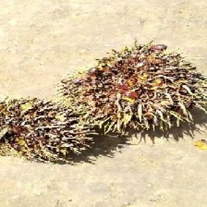 defect_test (190).jpg