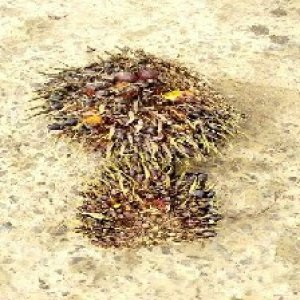 defect_test (192).jpg