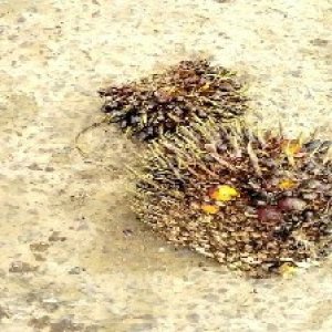 defect_test (194).jpg