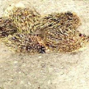 defect_test (196).jpg