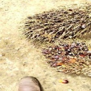 defect_test (197).jpg