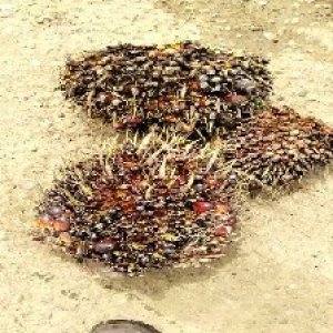 defect_test (198).jpg