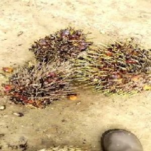 defect_test (199).jpg