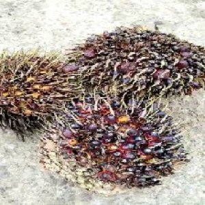 defect_test (200).jpg