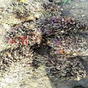 defect_test (208).jpg