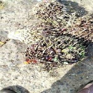 defect_test (209).jpg