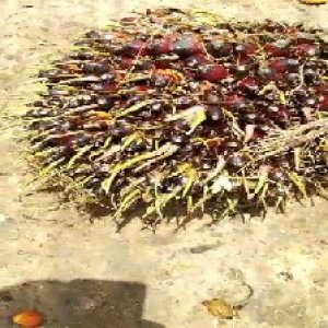 defect_test (21).jpg